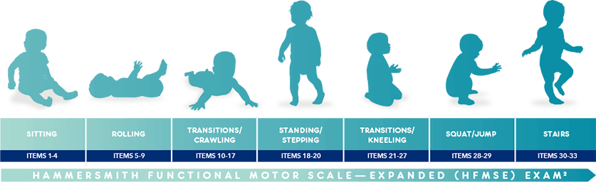 Hammersmith Functional Motor Scale−Expanded (HFMSE)