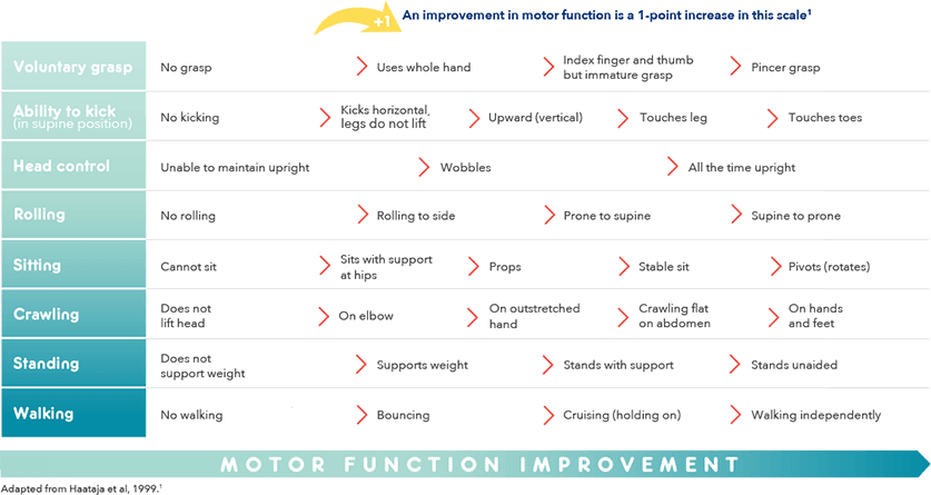 Hammersmith Infant Neurological Examination (HINE) Section 2